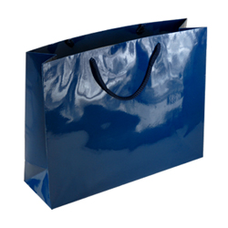 Large Navy Blue Paper Bag